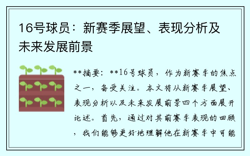 16号球员：新赛季展望、表现分析及未来发展前景