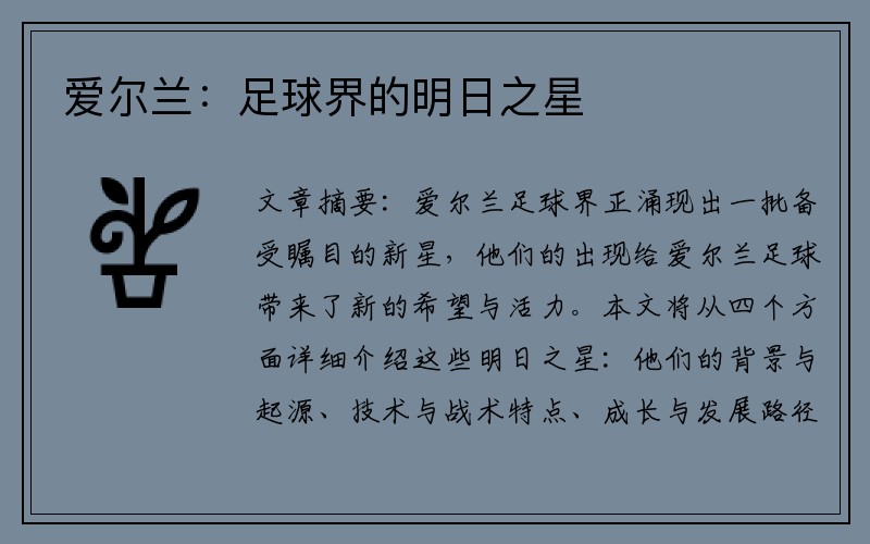 爱尔兰：足球界的明日之星