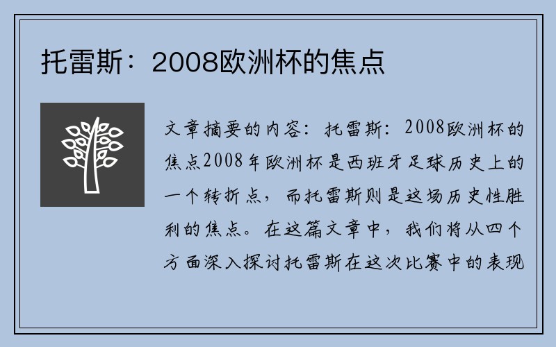 托雷斯：2008欧洲杯的焦点